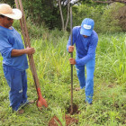 miniatura 30