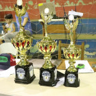 miniatura 14