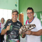 miniatura 17