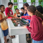 miniatura 11