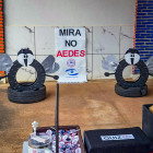 miniatura 17
