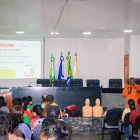 miniatura 11