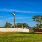 miniatura 29
