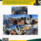 miniatura 19