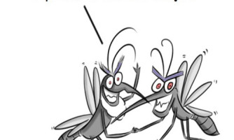 Boletim Epidemiológico da Dengue - 77