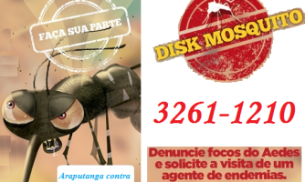 Boletim Epidemiológico da Dengue - 89