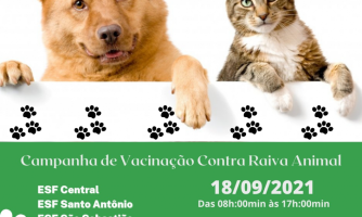 Campanha de Vacinação Antirrábica para Cães e Gatos
