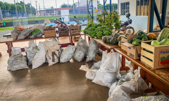 DISTRIBUIÇÃO DE ALIMENTOS DA AGRICULTURA FAMILIAR