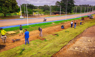 PLANTIO DE ÁRVORES FRUTÍFERAS