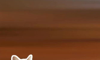 Araputanga em Obras: mais asfalto, mais qualidade de vida