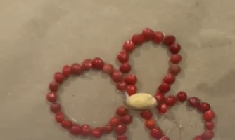 Encerramento do Projeto Contagie celebra incentivo à leitura na Escola Municipal de Farinópolis