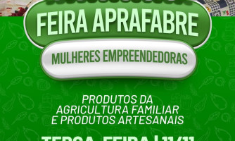 Feira APRAFABRE — Mulheres Empreendedoras: 11/11 às 12h na Praça Romeu Furlan