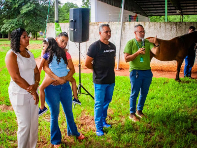 ABERTURA CAMINHOS DO CAVALO