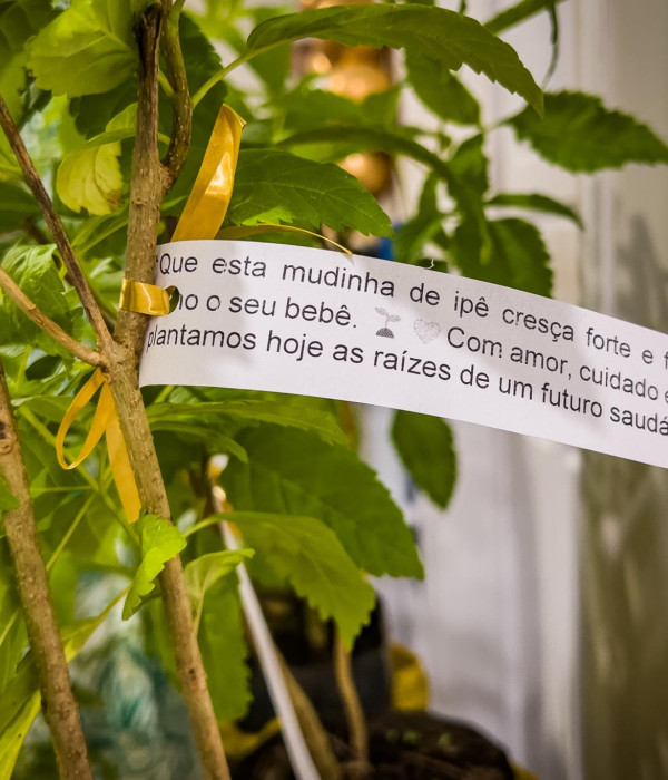 AGOSTO DOURADO | ESF SANTO ANTÔNIO — foto 1