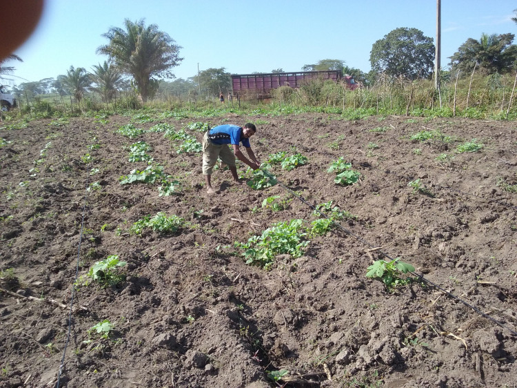 Entrega dos Kits de Irrigação na Comunidade do Imbé