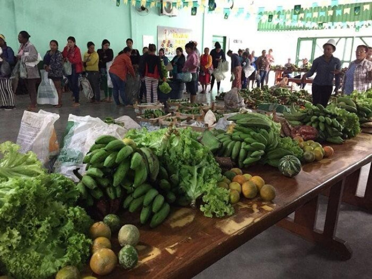 Mais de dois mil quilos de alimentos são distribuídos às famílias carentes de Araputanga