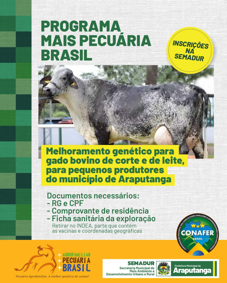 MAIS PECUÁRIA EM ARAPUTANGA