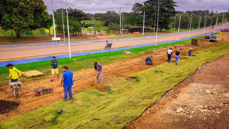 PLANTIO DE ÁRVORES FRUTÍFERAS