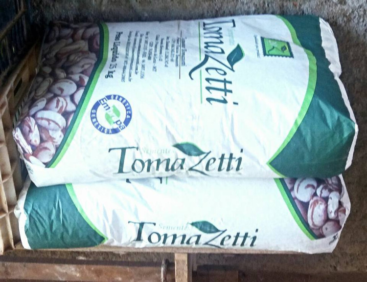 AGRICULTURA - ENTREGA DE MAIS DE 1.000 KG (MIL QUILOS) DE SEMENTES DE FEIJÃO