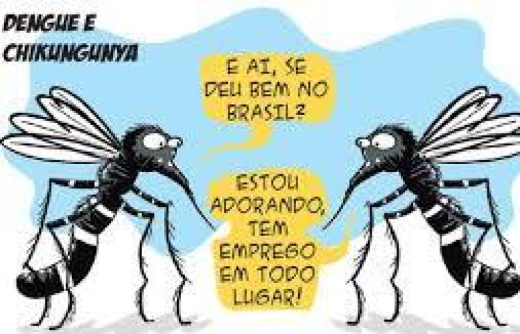 Boletim Epidemiológico da Dengue - 76