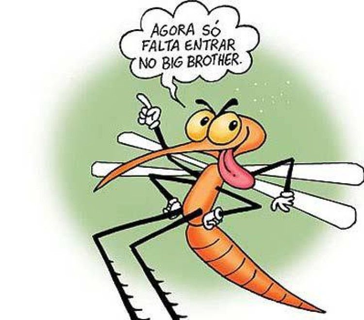 Boletim Epidemiológico da Dengue - 79