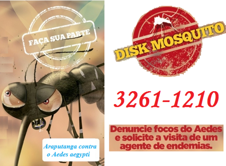 Boletim Epidemiológico da Dengue - 89
